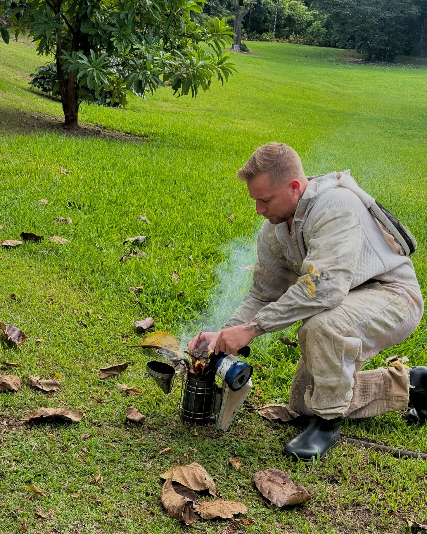 Photo Instagram Le Rucher de Gwadloup - Apiculture Guadeloupe