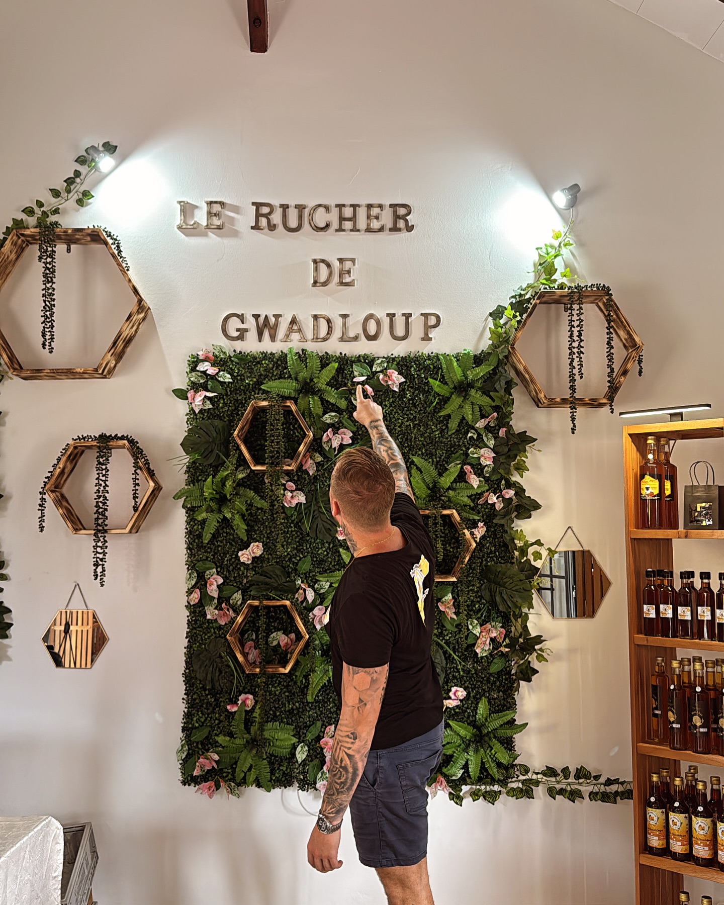 Photo Instagram Le Rucher de Gwadloup - Miel et Ruches