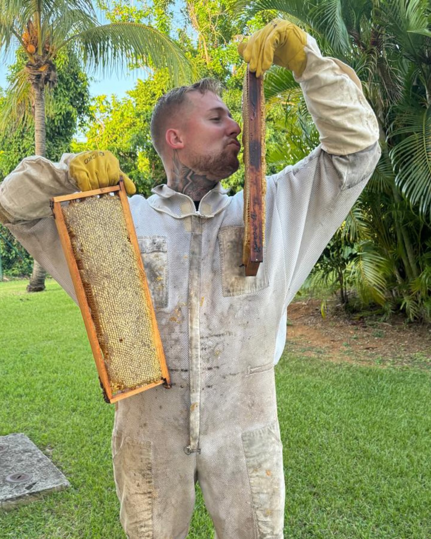 Nathan Jouve travaillant dans sa miellerie artisanale à Deshaies, Guadeloupe